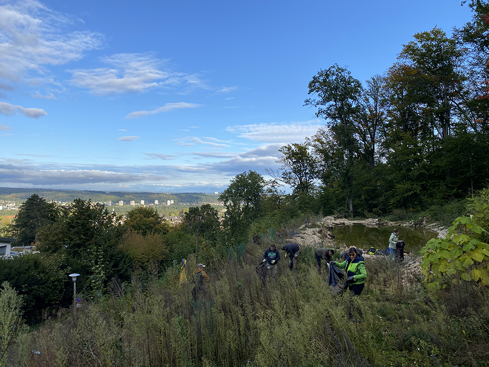 Weiheranlage Hollenberg Arlesheim